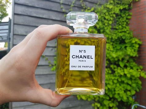 fragrances similar to chanel 5